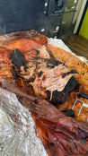 Grillseminar"AMERICAN BBQ",Samstag 04.07.2026: 11.00-17.00